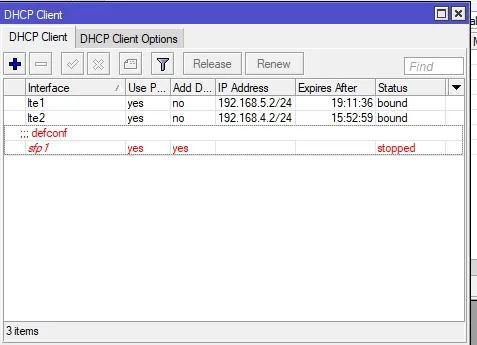 DHCP-CLIENT
