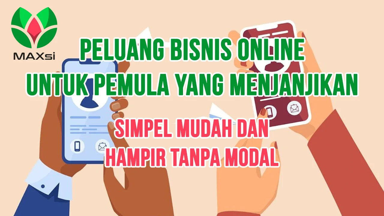 Peluang Bisnis Online Untuk Pemula Yang Menjanjikan