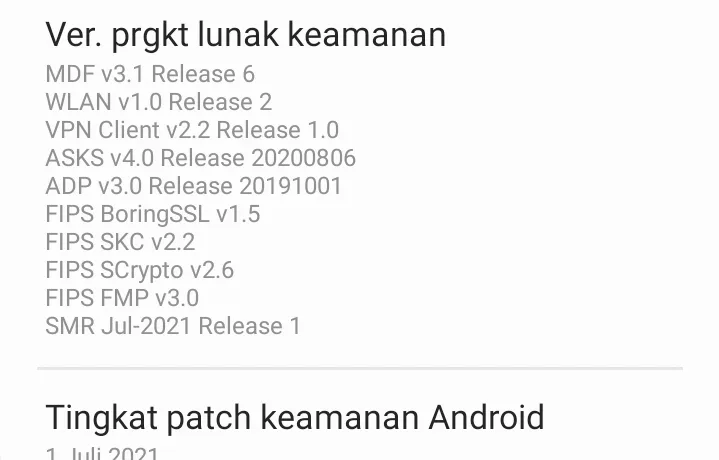 Samsung Galaxy S21 Ultra Error Update July 2021