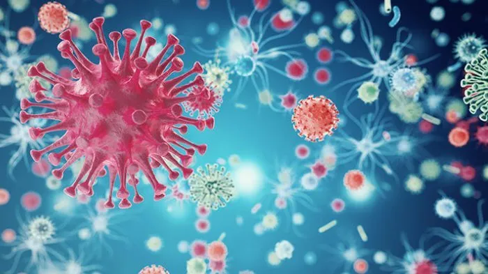 virus corona di indonesia